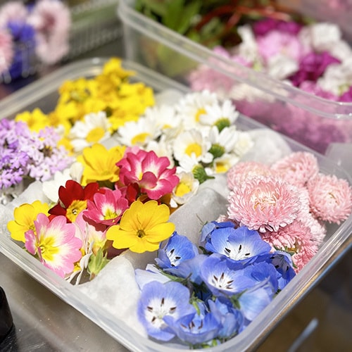 咲くカフェ Flower　エディブルフラワー 
